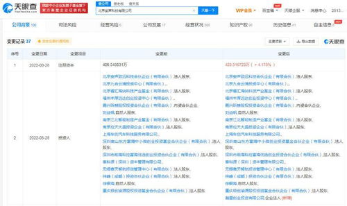計算機軟件開發 從概念到實現的全過程解析